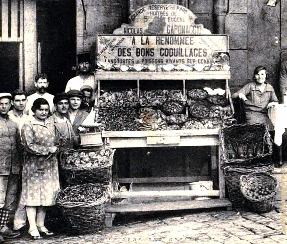 Alger - Coquillages Maison Capomaccio2.jpg